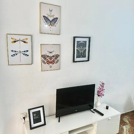 شقة Libelula Centro Tranquilo 2 Especial *